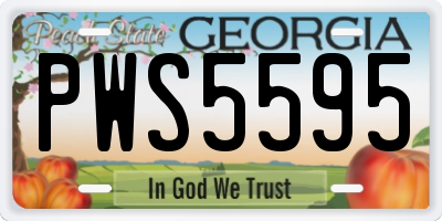 GA license plate PWS5595