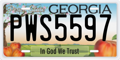 GA license plate PWS5597