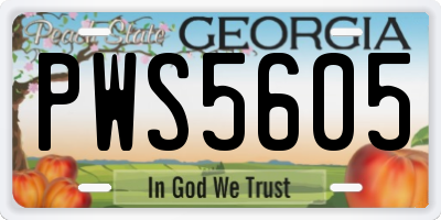 GA license plate PWS5605