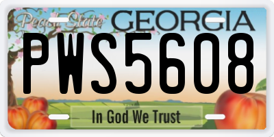 GA license plate PWS5608