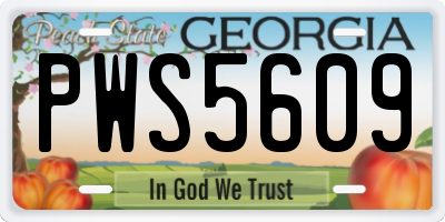 GA license plate PWS5609