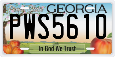 GA license plate PWS5610