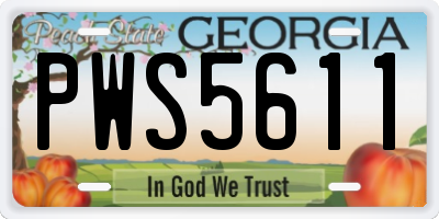 GA license plate PWS5611