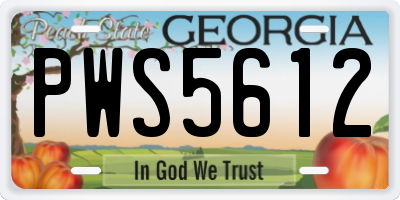 GA license plate PWS5612