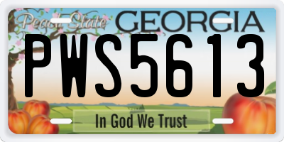 GA license plate PWS5613