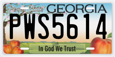 GA license plate PWS5614