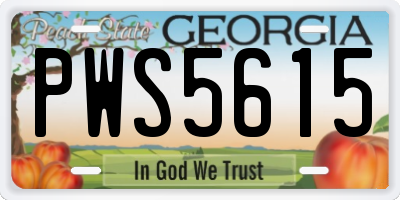 GA license plate PWS5615