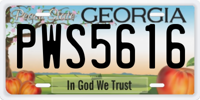 GA license plate PWS5616