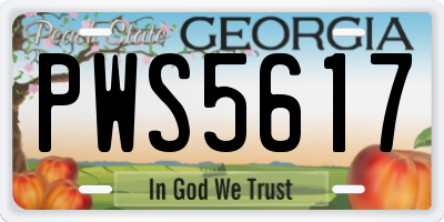 GA license plate PWS5617