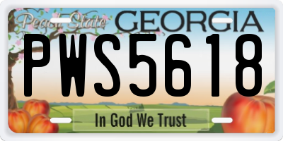 GA license plate PWS5618