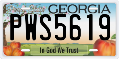 GA license plate PWS5619