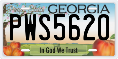 GA license plate PWS5620