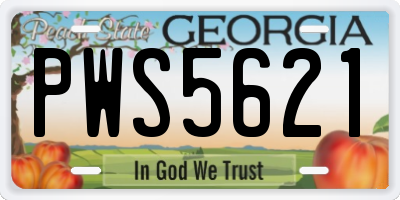 GA license plate PWS5621