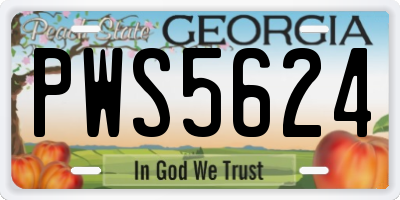 GA license plate PWS5624