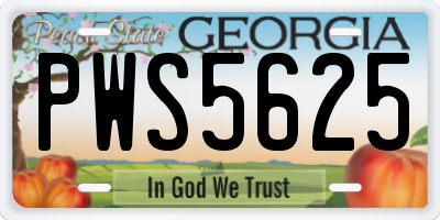 GA license plate PWS5625