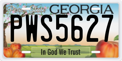 GA license plate PWS5627