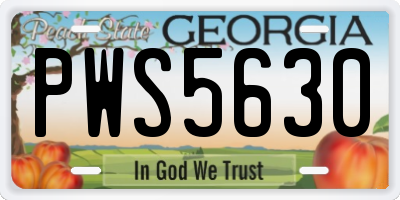 GA license plate PWS5630