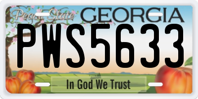 GA license plate PWS5633