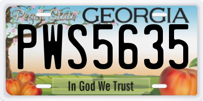 GA license plate PWS5635