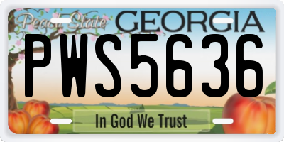 GA license plate PWS5636