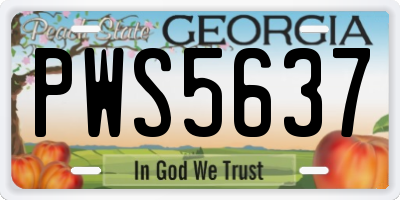 GA license plate PWS5637