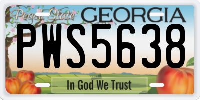 GA license plate PWS5638