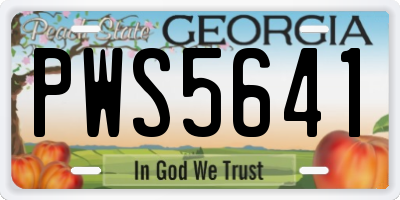 GA license plate PWS5641
