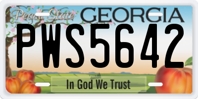 GA license plate PWS5642