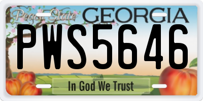 GA license plate PWS5646