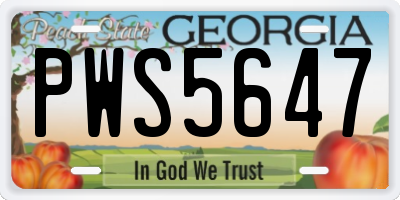 GA license plate PWS5647