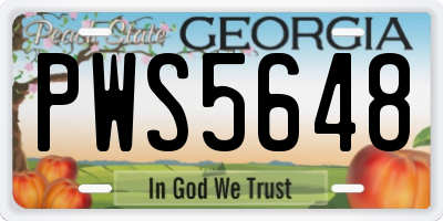 GA license plate PWS5648
