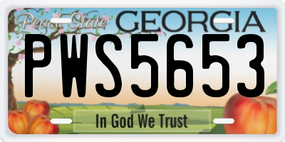 GA license plate PWS5653