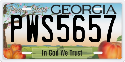 GA license plate PWS5657