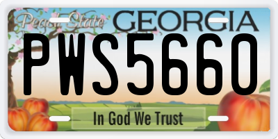 GA license plate PWS5660