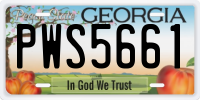 GA license plate PWS5661