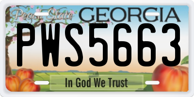 GA license plate PWS5663