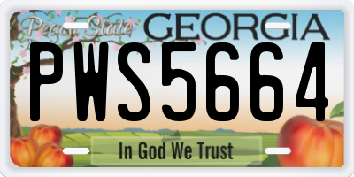 GA license plate PWS5664