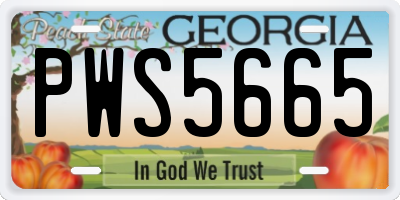 GA license plate PWS5665