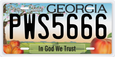 GA license plate PWS5666