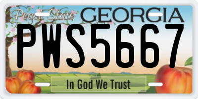 GA license plate PWS5667