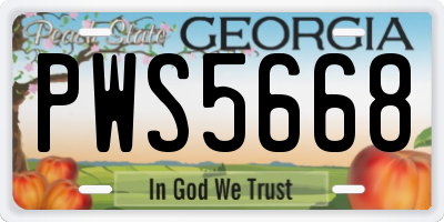 GA license plate PWS5668