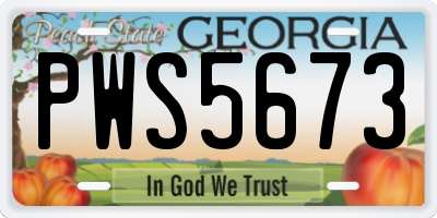 GA license plate PWS5673