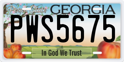 GA license plate PWS5675