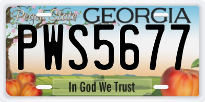 GA license plate PWS5677