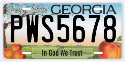GA license plate PWS5678