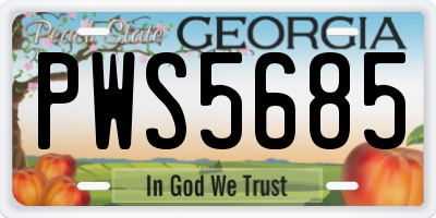 GA license plate PWS5685