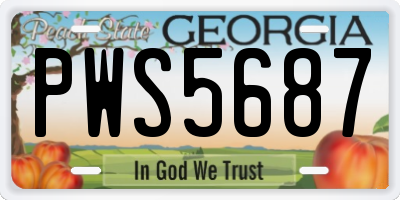 GA license plate PWS5687