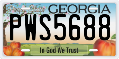 GA license plate PWS5688