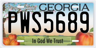 GA license plate PWS5689