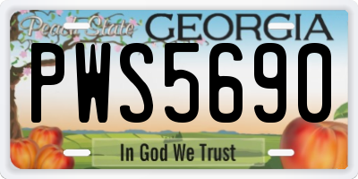 GA license plate PWS5690